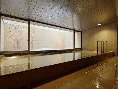 Mitsui Garden Hotel 4*